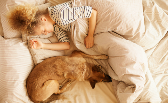 sentiment de sécurité dormir avec son chien